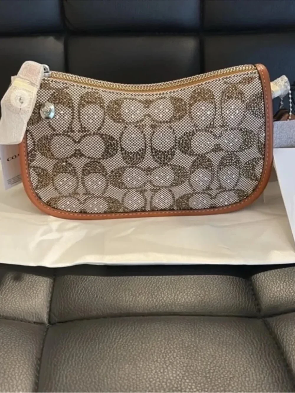 NWT Coach Swinger Bag 20 With Chain Crystal Signature Jacquard